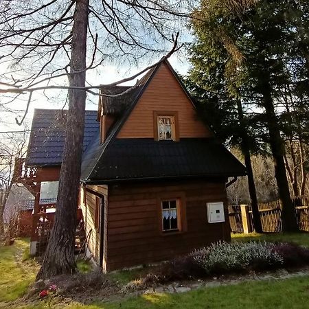 Ludwikowka Pod Luboniem, Stu-Letni Domek W Gorach Naprawa Экстерьер фото